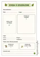 anteprima - Esperimenti - Il mio erbario d'Abruzzo - Pagina 2