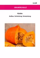 Vorschau - Arbeitsblätter - Kürbis - Arbeitsblätter mit Lösungen - Deckblatt