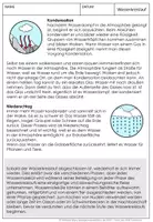 Vorschau - Stundenentwürfe - Wasserkreislauf Materialsammlung - Seite 3