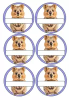 Vorschau - Poster - Niedliche Namensschilder Quokkas Einschulung - Seite 2