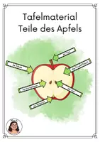 Vorschau - Poster - Tafelmaterial Teile des Apfels - Deckblatt