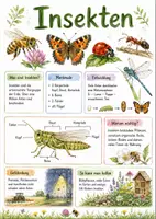 Vorschau - Arbeitsblätter - Lernposter + Arbeitsblätter zum Thema "Insekten" + Lösung & MP3 + Mindmap + Infografik - Deckblatt