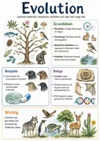 Vorschau - Arbeitsblätter - Lernposter + Arbeitsblätter zum Thema "Evolution" + Lösung & MP3 + Mindmap + Infografiken - Deckblatt