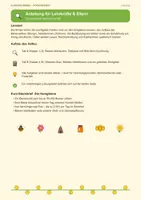 Vorschau - Spiele - Bienen Forscherheft - Seite 1