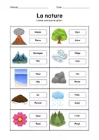 Aperçu - Jeux - Picture Choice Worksheet – Choose the Correct Answer - Page 2