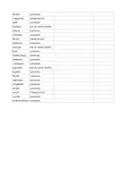 Aperçu - Jeux - Rituel vocabulaire - Le mot du jour - CM2 - Page de couverture
