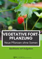 Vorschau - Arbeitsblätter - Vegetative Fortpflanzung: Sachtexte mit Aufgaben für Klasse 5 - Deckblatt