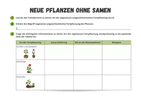 Vorschau - Arbeitsblätter - Vegetative Fortpflanzung: Sachtexte mit Aufgaben für Klasse 5 - Seite 3