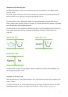 Vorschau - Arbeitsblätter - Sparpaket Reimwörter (Lernspiele, Klettmappen) - Seite 1