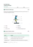 Vorschau - Stundenentwürfe - Biologie: Aufbau und Umgang mit dem Mikroskop - Klasse 5/6 - Seite 3