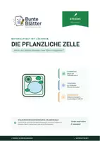 Vorschau - Stundenentwürfe - Materialpaket: Die Zelle - Seite 1