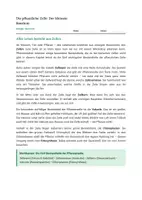 Vorschau - Stundenentwürfe - Materialpaket: Die Zelle - Seite 3