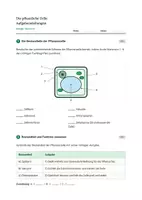 Vorschau - Stundenentwürfe - Biologie: Die pflanzliche Zelle - Klasse 5/6 - Seite 3