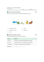Vorschau - Stundenentwürfe - Materialpaket: Biologie - Wirbeltierklassen - Klasse 5/6 - Seite 3