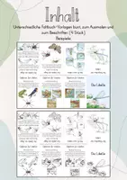 Vorschau - Mal- und Bastelvorlagen - Faltbuch: Die Libelle - Seite 2