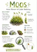 Vorschau - Arbeitsblätter - Lernplakat + Arbeitsblätter zum Thema "Moos" + Lösung & MP3 + Mindmap + Infografik - Deckblatt