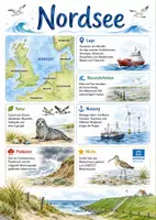 Vorschau - Arbeitsblätter - Lernposter + Arbeitsblätter zum Thema "Nordsee" + Lösung & MP3 + Mindmap + Infografik - Deckblatt