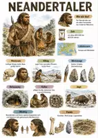 Vorschau - Arbeitsblätter - Lernposter + Arbeitsblätter zum Thema "Neandertaler" + Lösung & MP3 + Mindmap + Infografik - Deckblatt