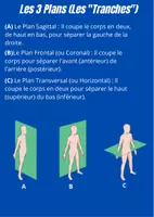 Aperçu - Fiches - Livret la musculation facile - Page 3