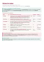 Vorschau - Stundenentwürfe - Vertretungsstunde Chemie Klasse 7-8 - Laborgeräte - Seite 2