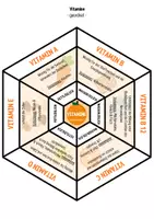 Vorschau - Spiele - Ernährung: Legekreis - Vitamine - Seite 1