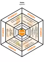 Vorschau - Spiele - Ernährung: Legekreis - Vitamine - Seite 2