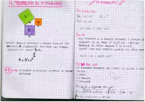 anteprima - Esercizi - Quaderno di Geometria 2° Media (1° Parte) – Aree, Teorema di Pitagora e Terne Pitagoriche con schede di esercizi in b/n - Pagina 1