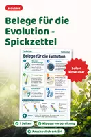 Vorschau - Merkblätter - Belege für die Evolution - Spickzettel - Deckblatt