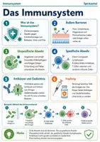 Vorschau - Merkblätter - Das Immunsystem – Spickzettel Biologie - Seite 1