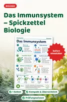 Vorschau - Merkblätter - Das Immunsystem – Spickzettel Biologie - Deckblatt