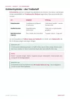 Vorschau - Stundenentwürfe - Ernährung & Verdauung Biologie Lernheft Kl. 7-9 PLUS Stundenentwurf - Seite 3