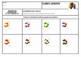 Aperçu - Feuilles d'exercices - Fiche suivi papillon symetrie niv 1 et 2 Cubes unions - Page de couverture