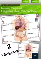 Vorschau - Arbeitsblätter - Organe des Menschen - Lernblatt - Deckblatt