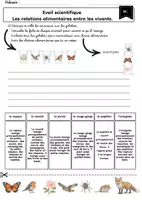 Aperçu - Jeux - Sciences les chaines alimentaires - Page de couverture