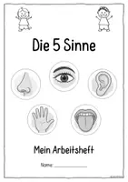Vorschau - Unterrichtsreihen - Die 5 Sinne Grundschule – Arbeitsheft mit Forscheraufträgen, Lernpostern & Lösungen - Seite 2
