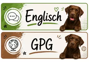 Vorschau - Poster - 🐶 12 moderne Fächerschilder mit Schulhund - Seite 1