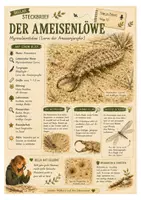 Vorschau - Arbeitsblätter - Ameisenlöwe – kostenloses Materialpaket für Sachunterricht & Naturbildung | Bella Wildherz - Deckblatt