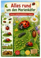 Vorschau - Unterrichtsreihen - Alles rund um den Marienkäfer Wissens- und Mitmachheft (Kita - 1. Klasse) - Deckblatt