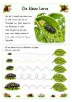 Vorschau - Unterrichtsreihen - Alles rund um den Marienkäfer Wissens- und Mitmachheft (Kita - 1. Klasse) - Seite 2