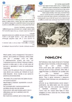 anteprima - Altro tipo di materiale - 6. Ulisse e le sirene/Scilla e Cariddi (Odissea a puntate) - Pagina 3