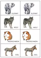 Vorschau - Spiele - TIERMEMORY - Bildkarten - Seite 2