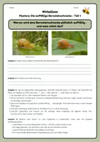 Vorschau - Arbeitsblätter - Mystery: Die auffällige Bernsteinschnecke | Parasitismus - Seite 1