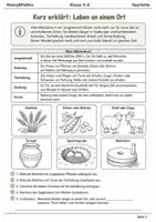Vorschau - Arbeitsblätter - Jungsteinzeit-Lernmalbuch Klasse 5–6 - Seite 1