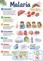 Vorschau - Arbeitsblätter - Lernposter + Arbeitsblätter zum Thema "Malaria" + Lösung & MP3 + Mindmap + Infografik - Deckblatt