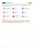 Vorschau - Arbeitsblätter - Sicherheit im Chemieraum: GHS-Symbole - Seite 3