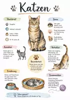 Vorschau - Arbeitsblätter - Lernposter + Arbeitsblatt "Katzen" + Onlineübung & MP3 + Mindmap + Infografik - Deckblatt