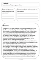 Vorschau - Arbeitsblätter - Fische - Körperbau und Fortpflanzung - Seite 2