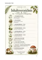 Vorschau - Stundenentwürfe - Pilze Forschungsprojekt mit Plakatgestaltung - Biologie - Seite 2