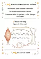 Vorschau - Arbeitsblätter - Alles rund um Muskeln & Bewegung – Wissens- & Mitmachheft (Kita–1.Klasse) - Seite 2