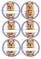 Vorschau - Poster - Großes Bundle für den Anfangsunterricht Einschulung für coole QUOKKAS - Seite 2